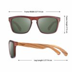 Thurso Surf paddle board sunglasses
