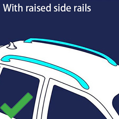 car roof with raised side rails