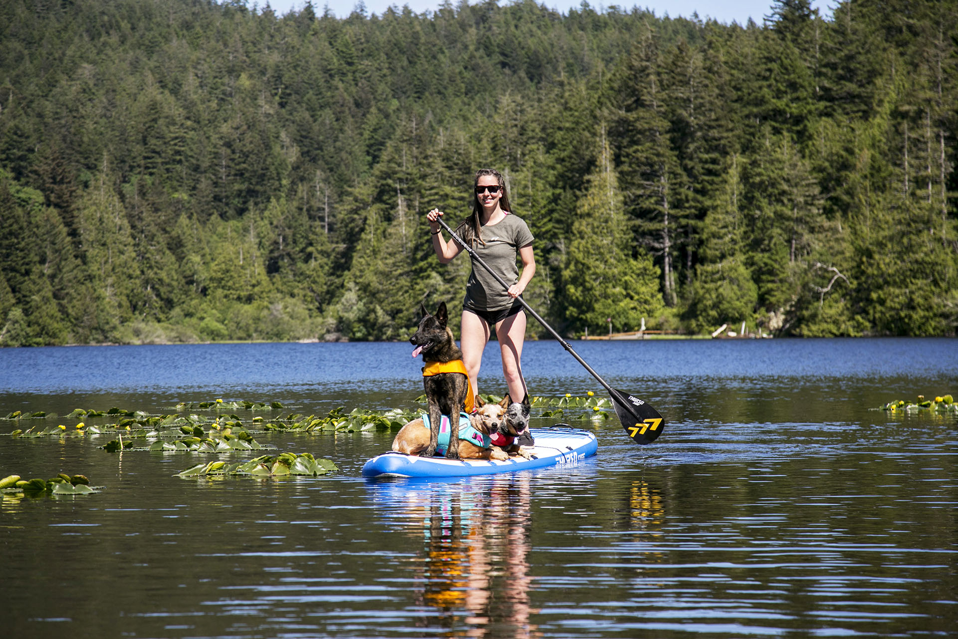thurso surf ambassador ali paddle board dog sup