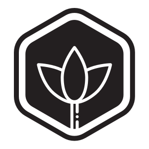 paddle board yoga icon